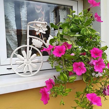 Locanda Del Golfo لا سبيتسْيا المظهر الخارجي الصورة
